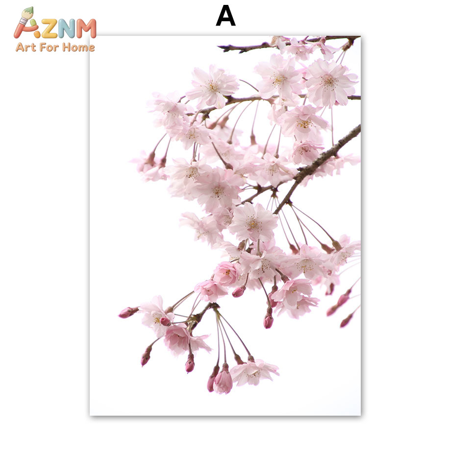 AZNM Pink Cherry Blossom Canva - Photography Quotes ulasan dan harga