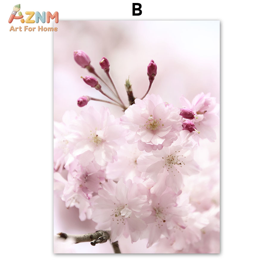AZNM Pink Cherry Blossom Canva - Photography Quotes ulasan dan harga