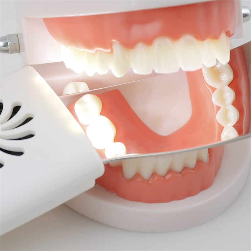 Dental Anti-Fog Mirrors With L - Photography Yellow ulasan dan harga