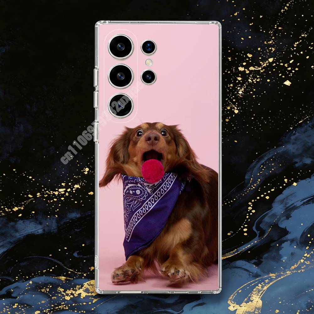Dachshund Dog Photography Phon - Photography Quotes ulasan dan harga